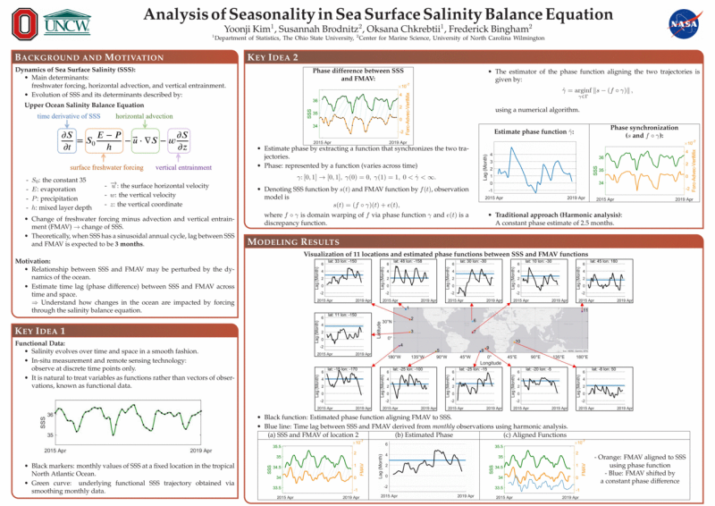 Analysis of Seasonality in Sea Surface Salinity Balance Equation