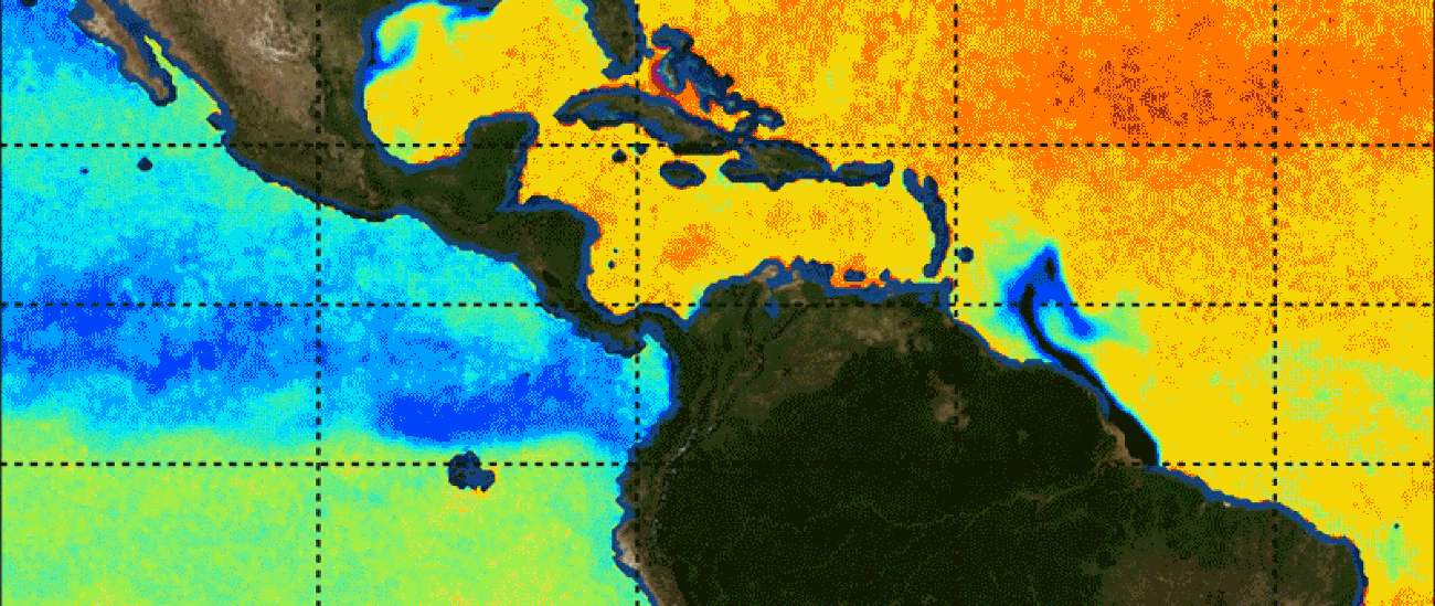 Map of sea surface temperature