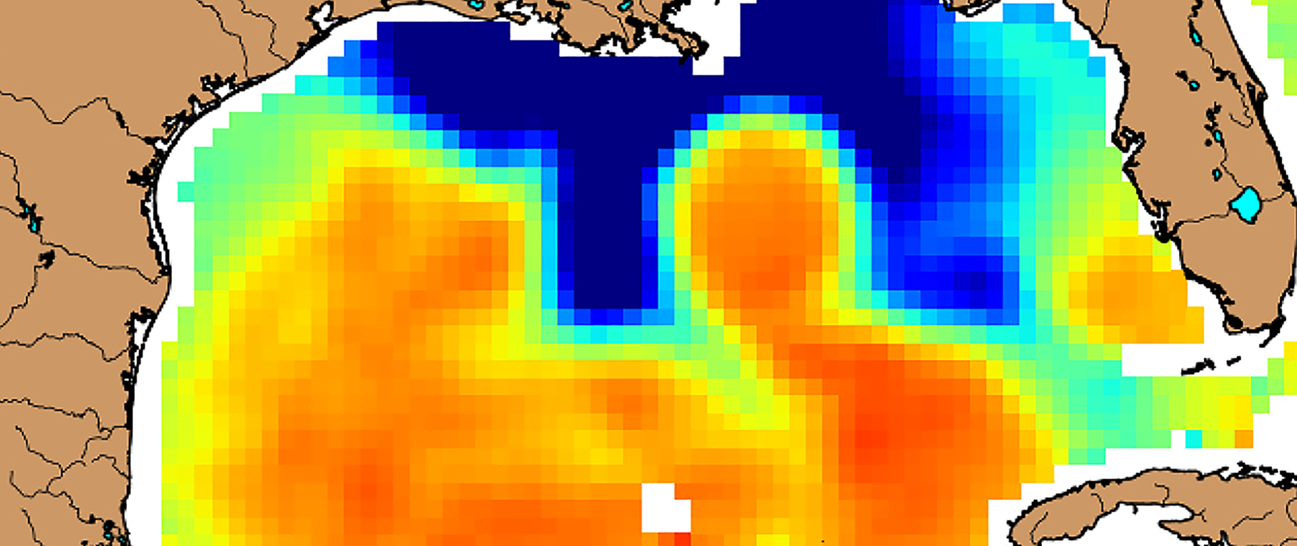 Map of sea surface temperature in the Gulf of Mexico