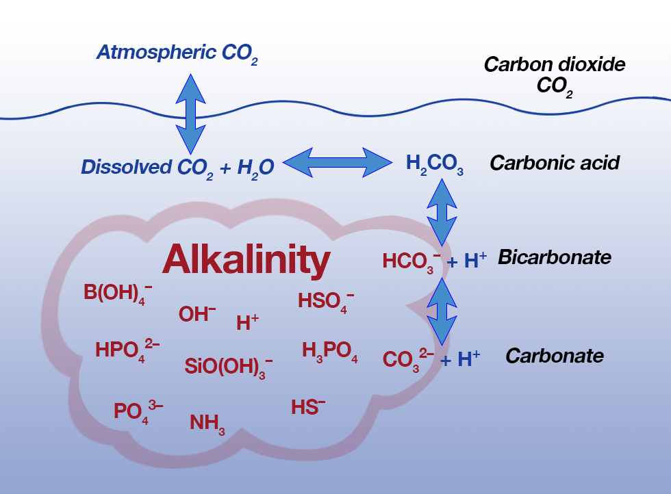 Alkalinity diagram