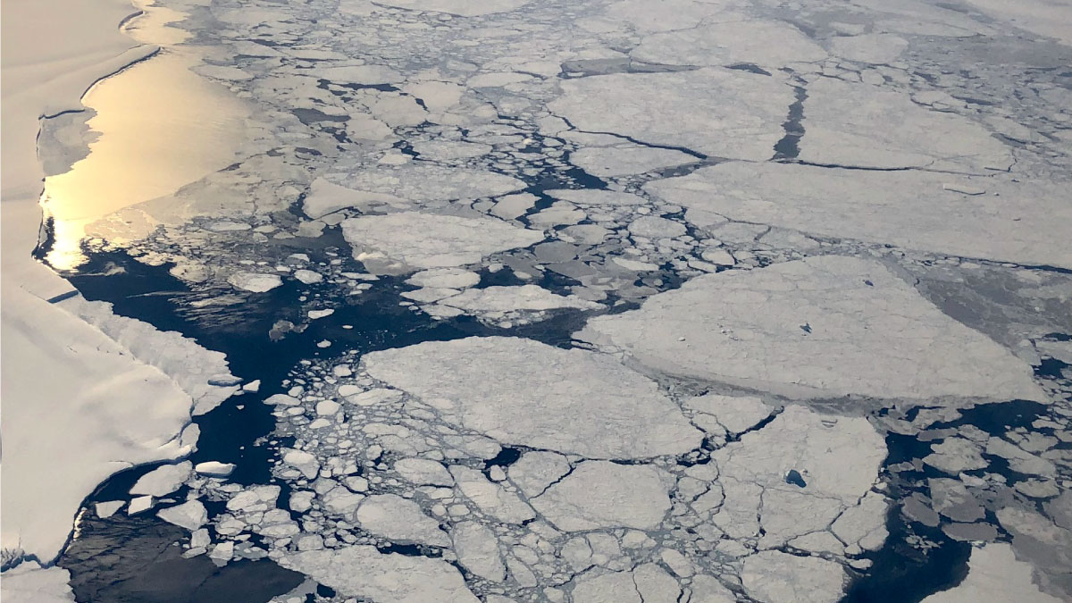 Aerial view of sea ice in the Arctic