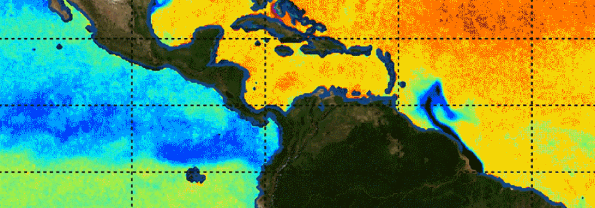 Sea surface salinity map