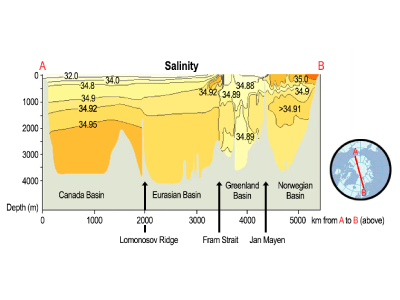 Distribution of salinity across the Arctic Ocean