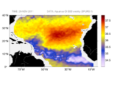 Sea surface salinity, November 29, 2011