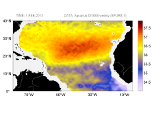 Sea surface salinity, February 1, 2013