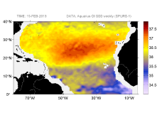 Sea surface salinity, February 15, 2013