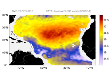 Sea surface salinity, November 29, 2013