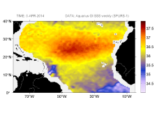 Sea surface salinity, April 5, 2014