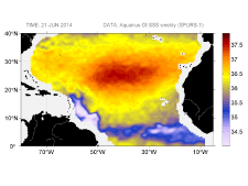 Sea surface salinity, June 21, 2014