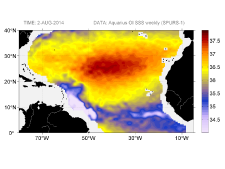 Sea surface salinity, August 2, 2014