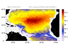 Sea surface salinity, August 30, 2014