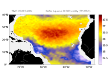 Sea surface salinity, December 20, 2014