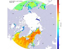 Sea surface salinity in the northern hemisphere