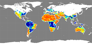 Soil moisture, January 2015