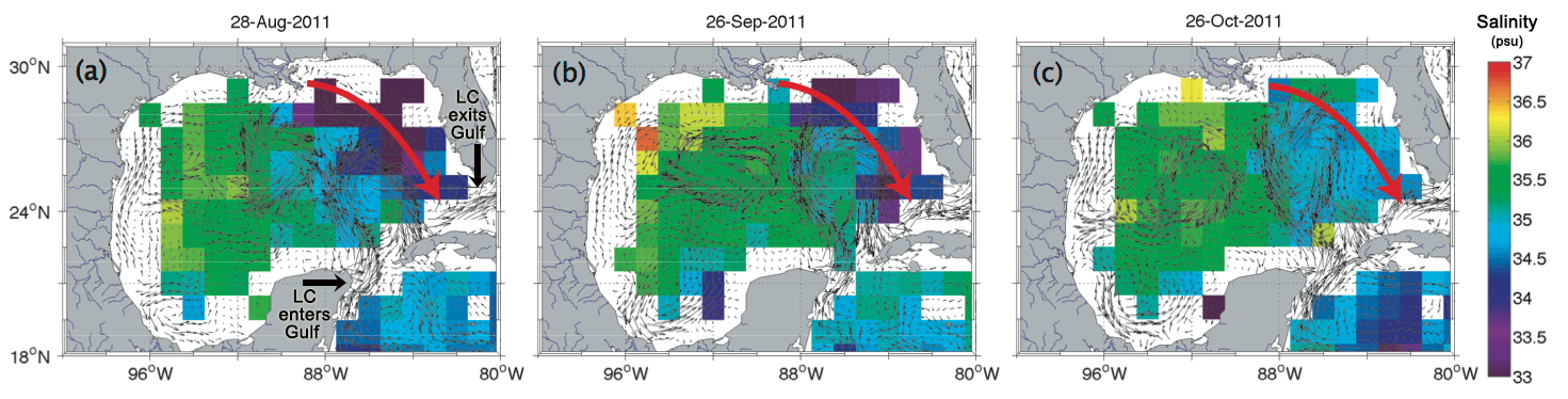 Salinity (color) and currents (thin arrows) in the Gulf of Mexico during three weeks in 2011